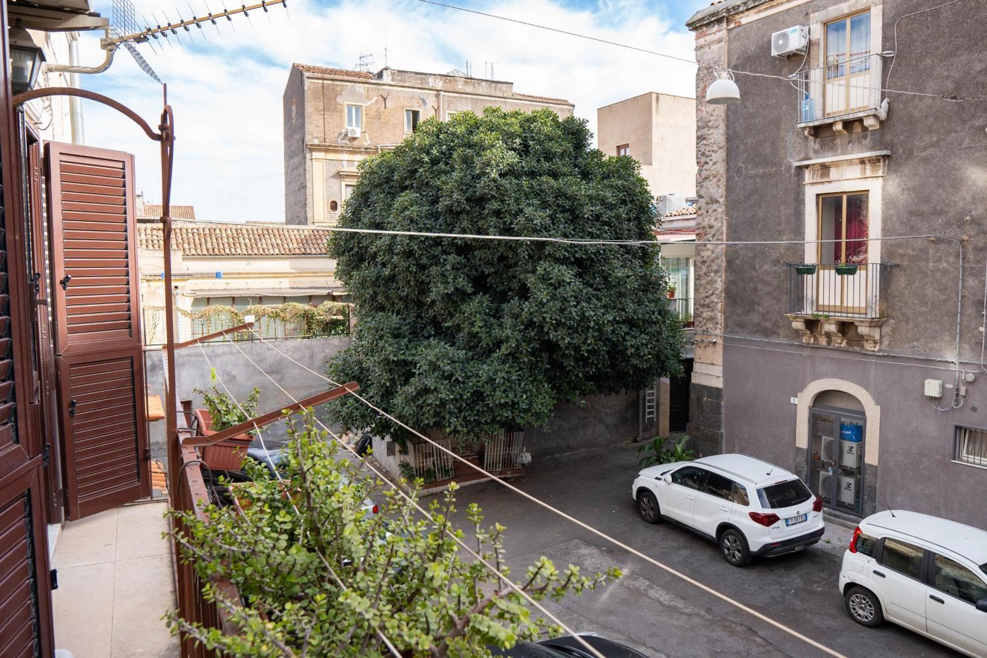 Mimi House By Sicily In Apartment *
